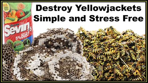 What kills yellow jackets instantly?