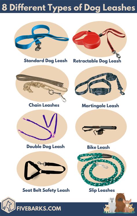 What kind of leash do vets use?