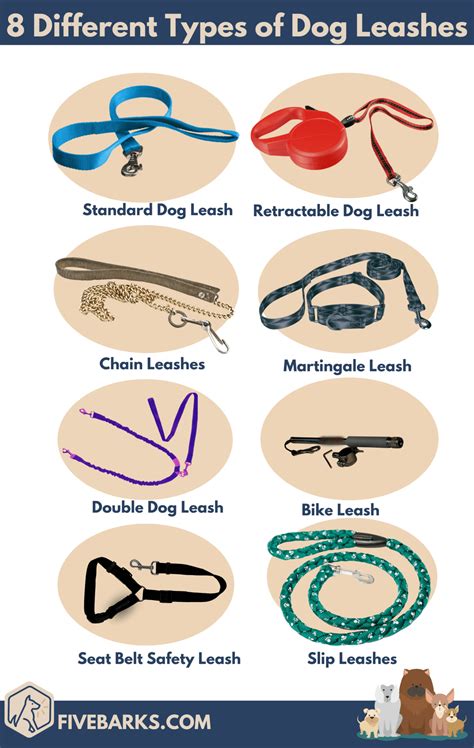 What kind of leash does dog daddy use?