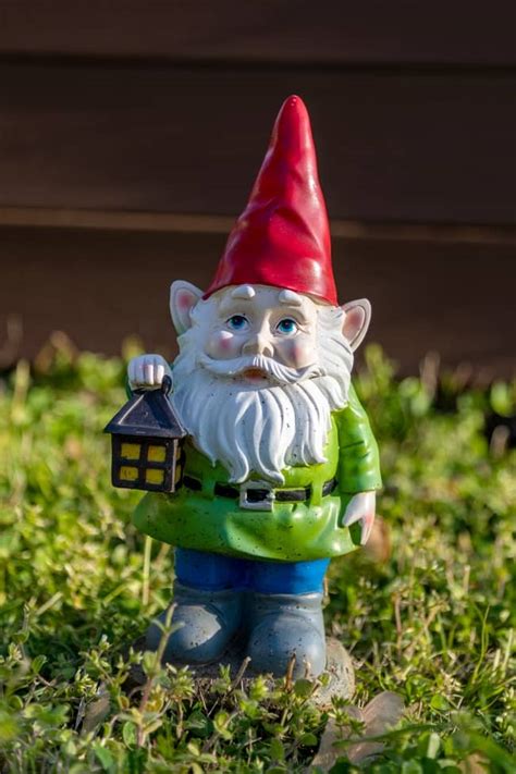 What language does gnome come from?