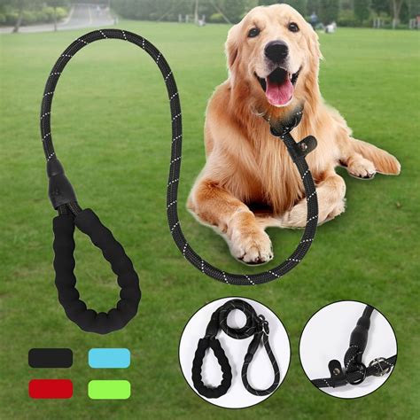 What leash is best for a dog that pulls?