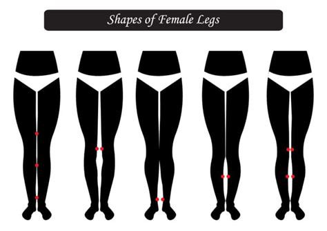 What leg shape is most attractive?