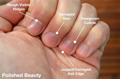 What length nails do guys like?