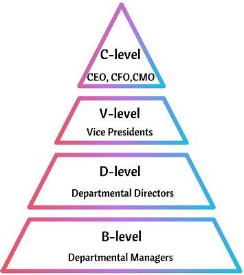 What level is C-level?