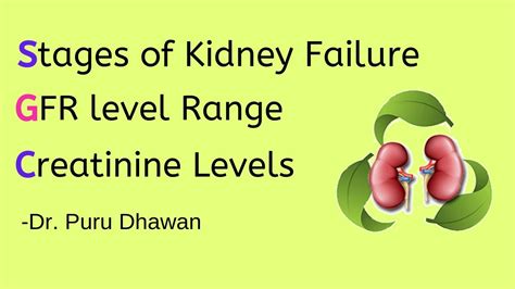 What level of creatinine indicates kidney failure?