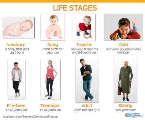 What life stage is 54 years old?