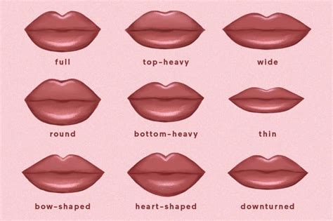 What lip shape do men find most attractive?