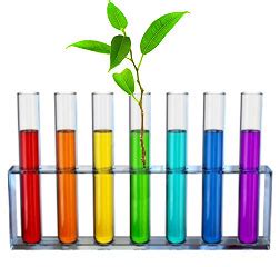 What liquid helps plants grow the fastest?