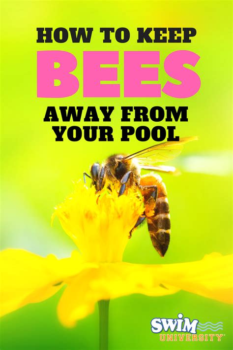 What liquid keeps bees away?