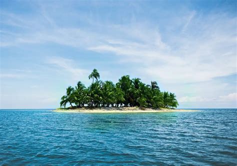 What lives on deserted islands?