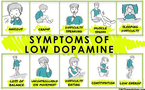 What lowers dopamine?