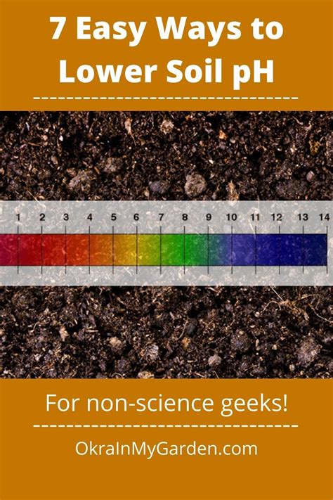 What lowers soil pH?