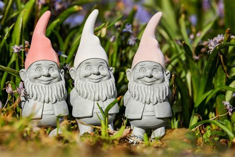 What magic do gnomes have?