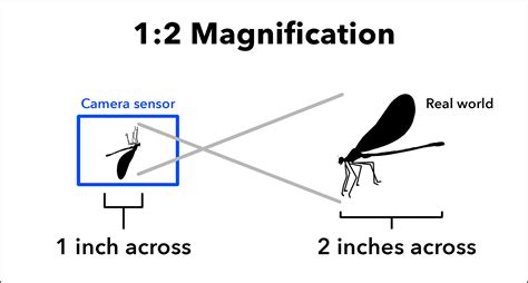 What magnification is 1000mm?
