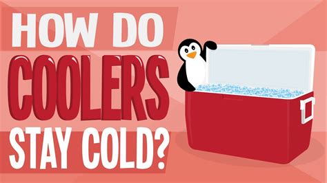 What makes a cooler cold?