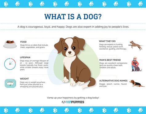 What makes a dog a dog?