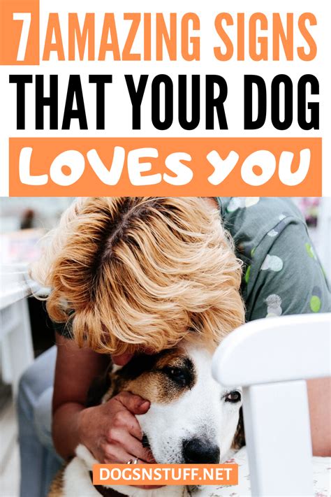 What makes a dog love someone?