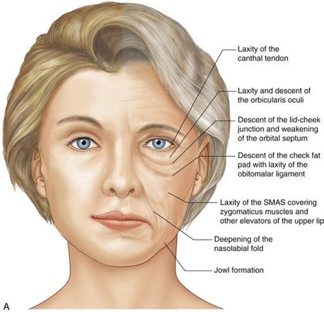 What makes a face more mature?