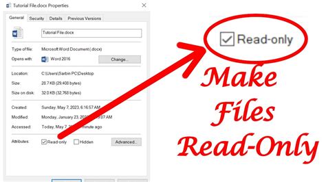 What makes a file read only?