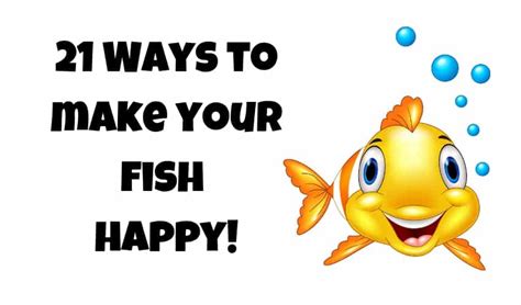 What makes a fish happy?