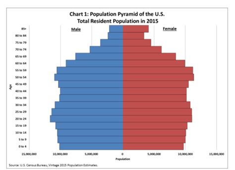 What makes a population decrease?