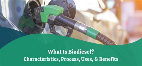 What makes biodiesel more viscous?