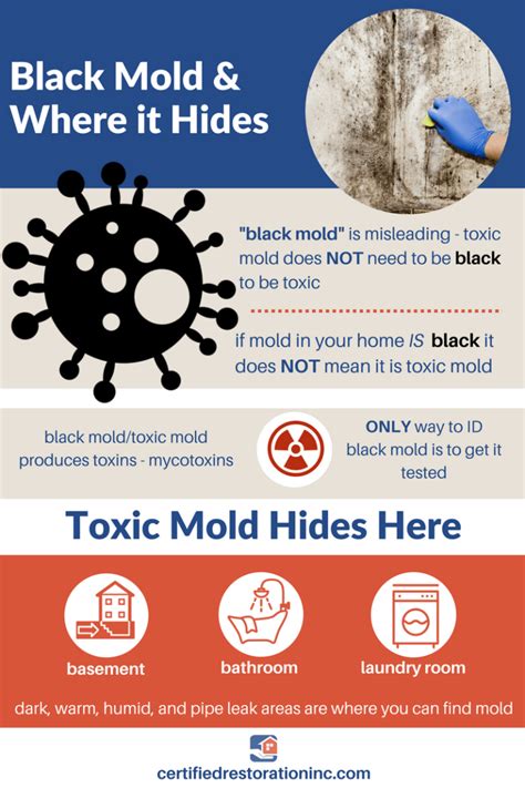 What makes black mold worse?