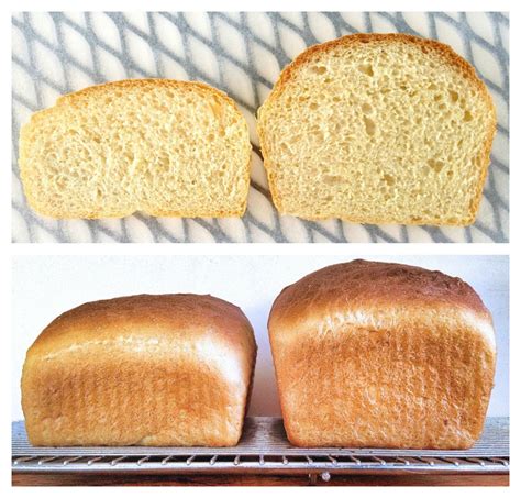 What makes bread dense and not rise?