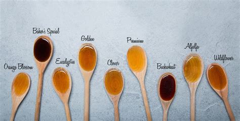 What makes different types of honey?