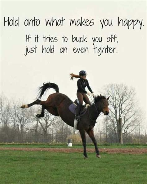 What makes horses like you?