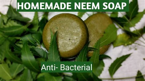 What makes neem antibacterial?