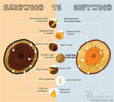 What makes wood hard or soft?