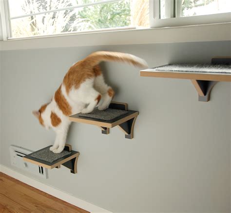 What material can cats not climb?