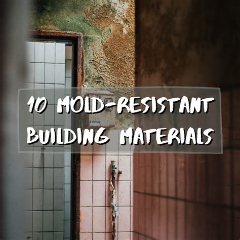 What material is most mold resistant?