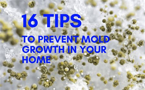 What material prevents mold from growing?