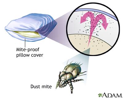 What materials are mite proof?