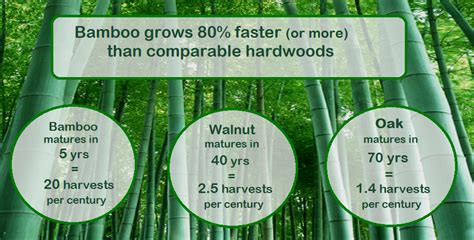 What materials can bamboo replace?