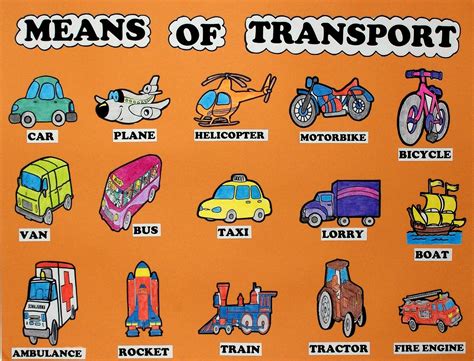 What means of transport people use most?