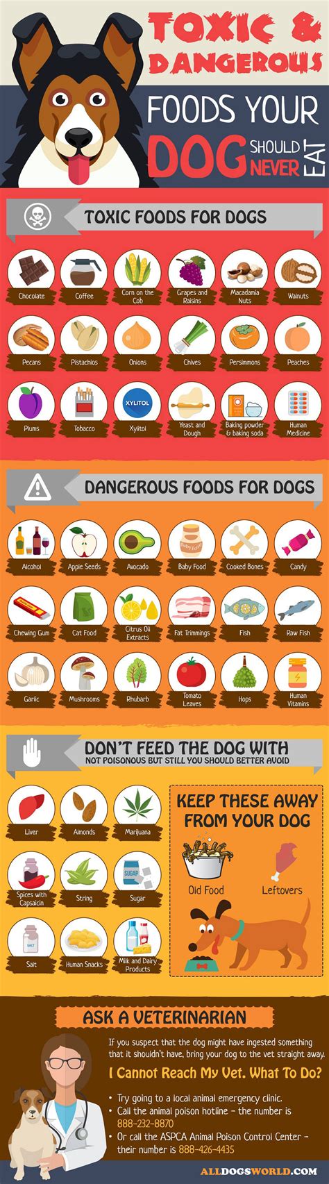 What meat is toxic to dogs?