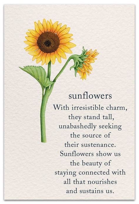What message do sunflowers send?