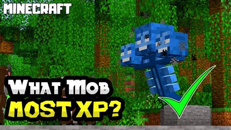 What mob gives the most XP in Minecraft?