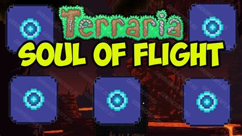 What mobs drop souls of flight in Terraria?