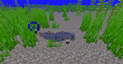 What mobs spawn in the ocean?