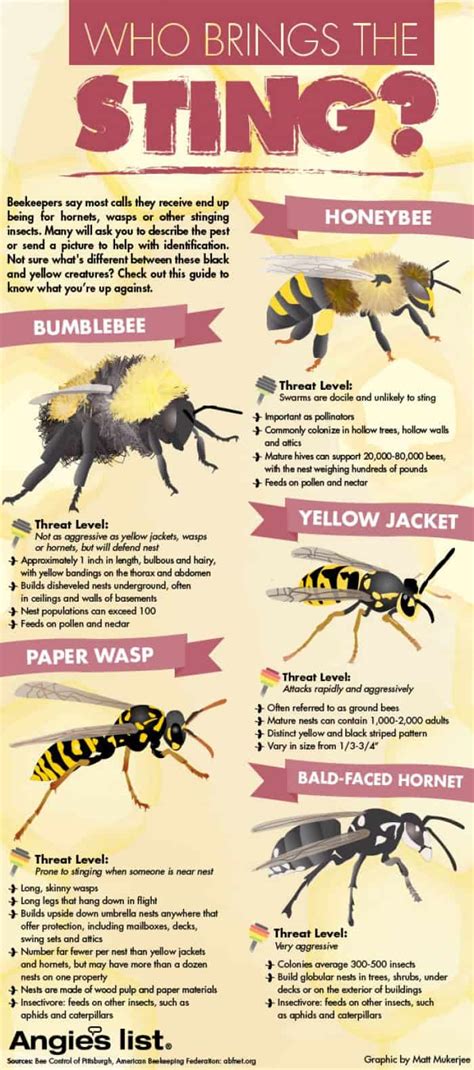 What month are wasps most likely to sting?