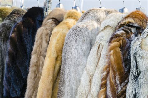 What months can you wear fur?
