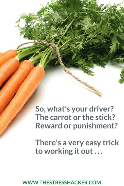 What motivates you the carrot or stick?