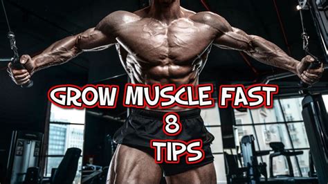 What muscle grows the quickest?