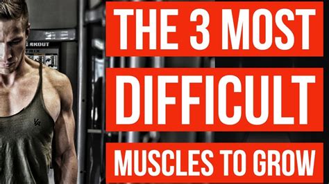 What muscle is hardest to grow?