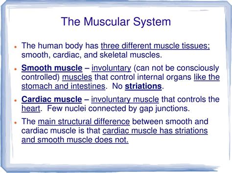 What muscle is not consciously controlled?