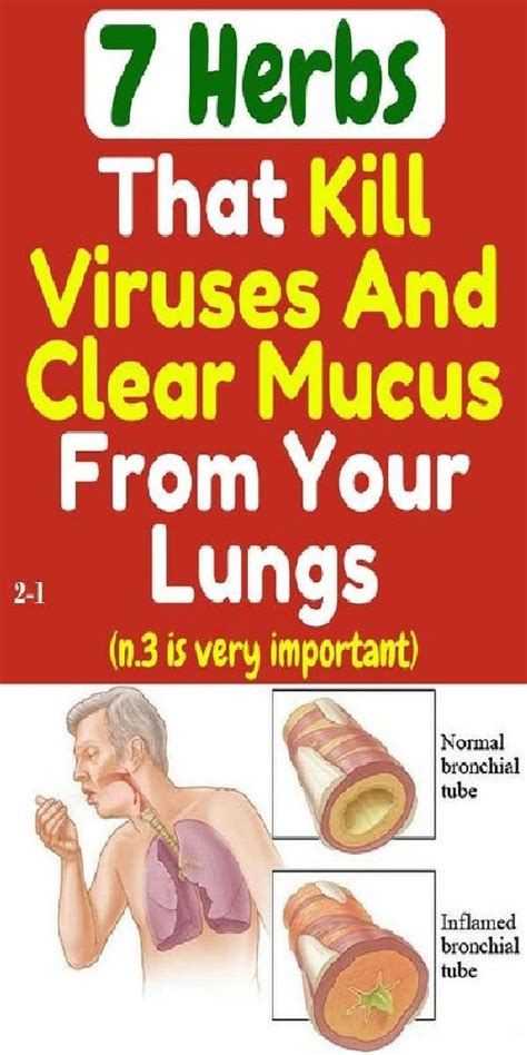 What naturally kills mucus?